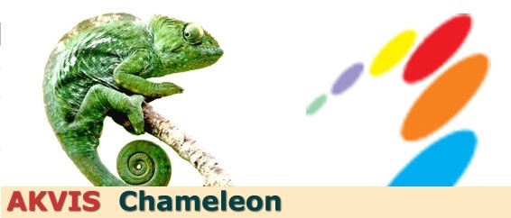 AKVIS Chameleon is an efficient tool for photo collage creation. This inge